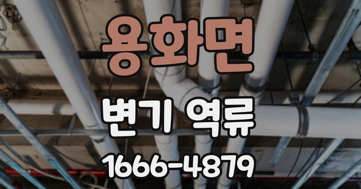 용화면 변기 역류
