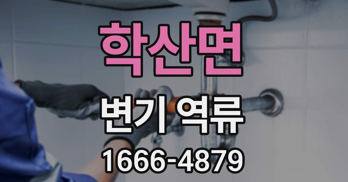 학산면 변기 역류