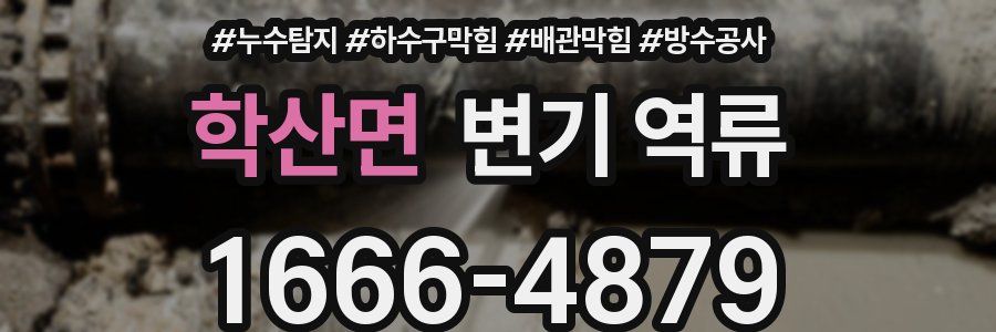 학산면 변기 역류