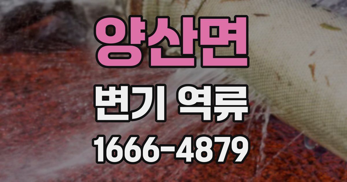 양산면 변기 역류