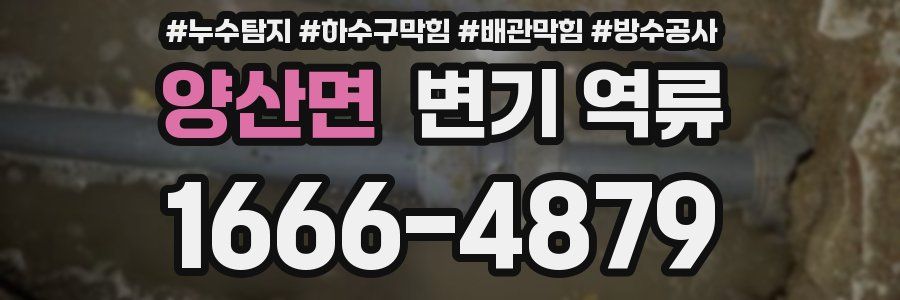 양산면 변기 역류