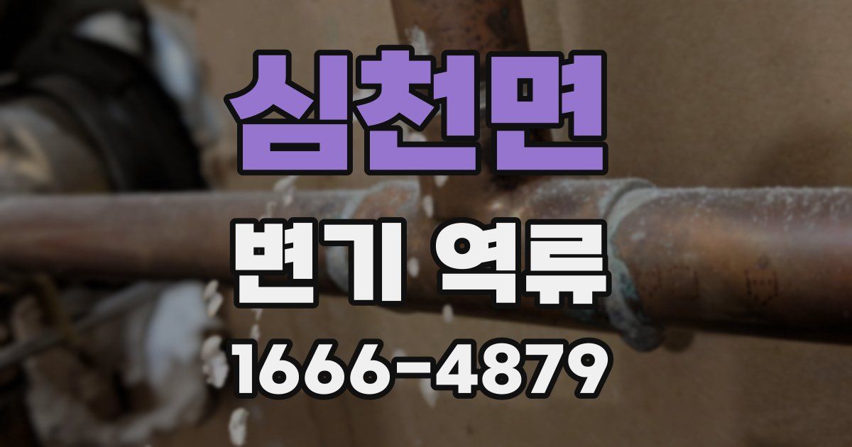심천면 변기 역류