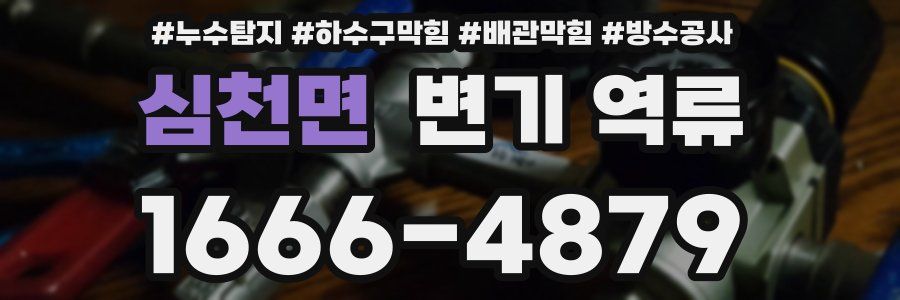 심천면 변기 역류