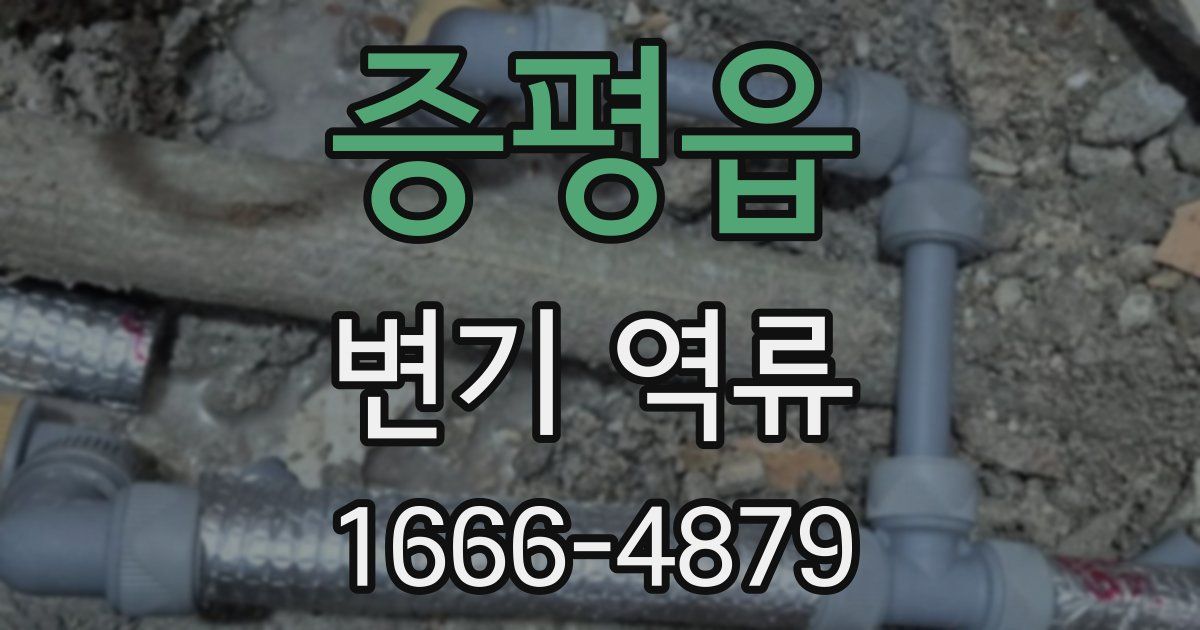 증평읍 변기 역류