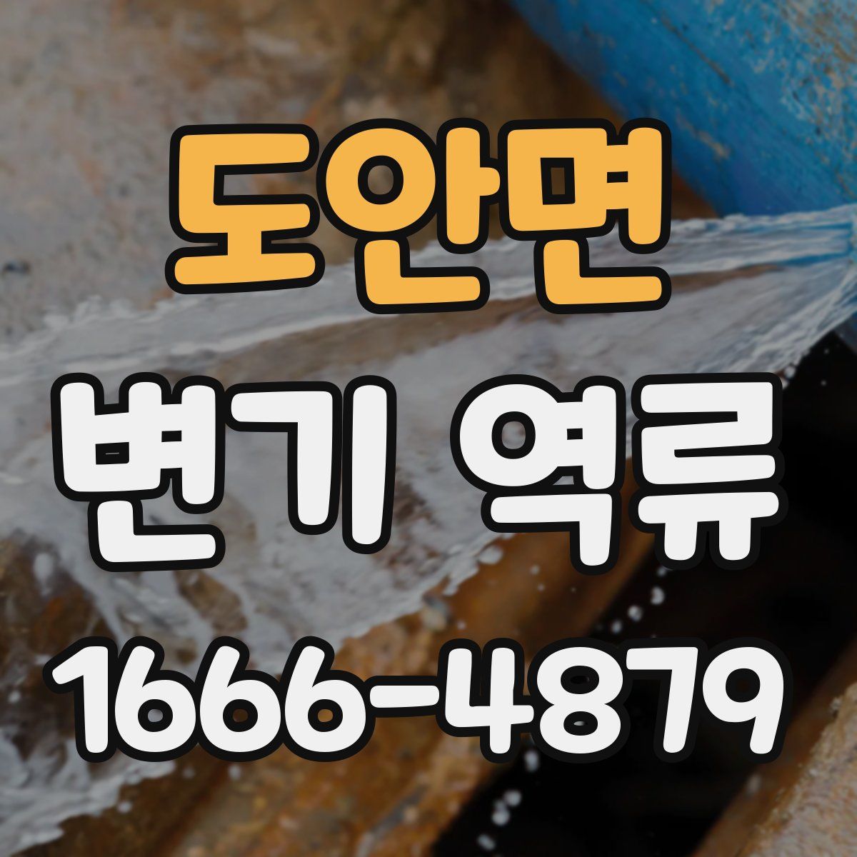 도안면 변기 역류