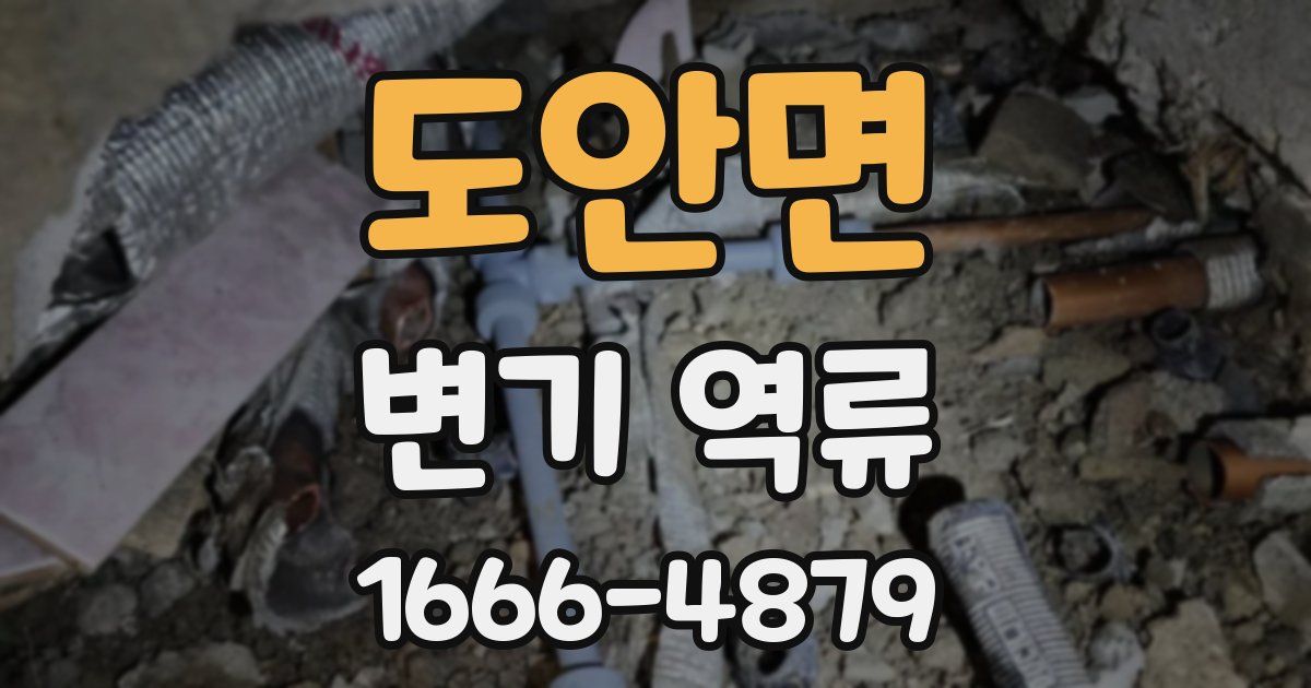 도안면 변기 역류