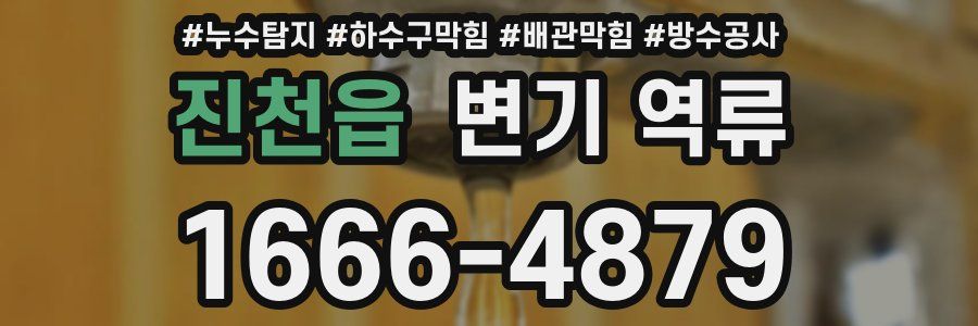진천읍 변기 역류