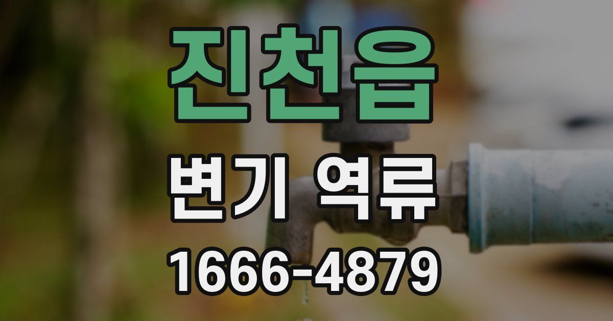 진천읍 변기 역류