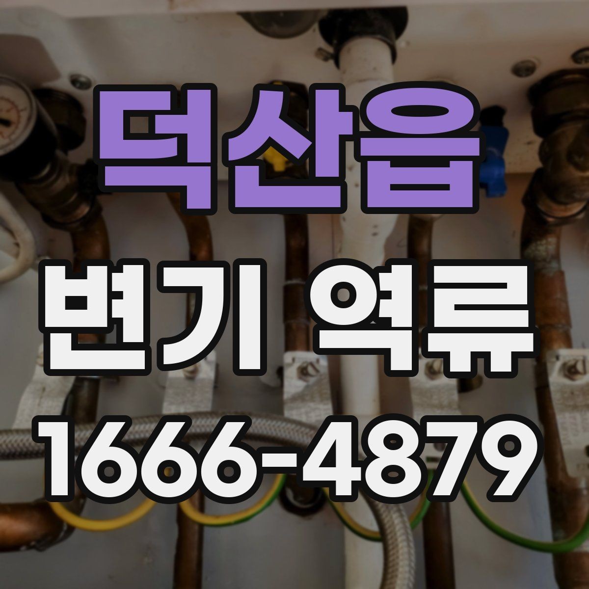 덕산읍 변기 역류 원인별 확인 포인트