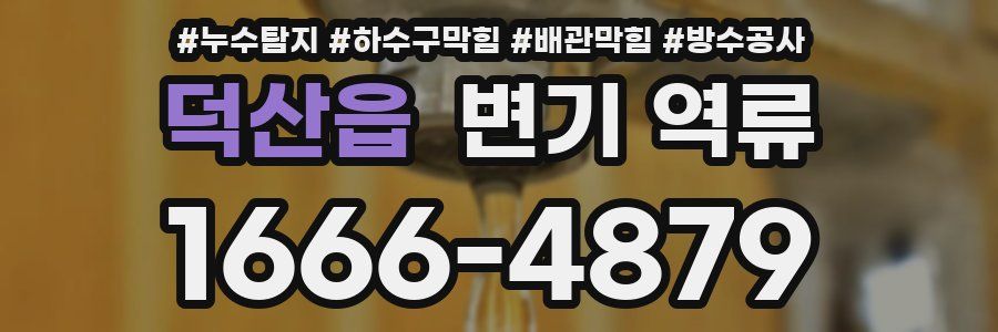 덕산읍 변기 역류