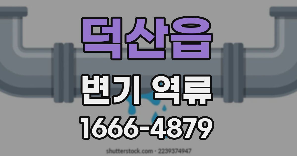 덕산읍 변기 역류