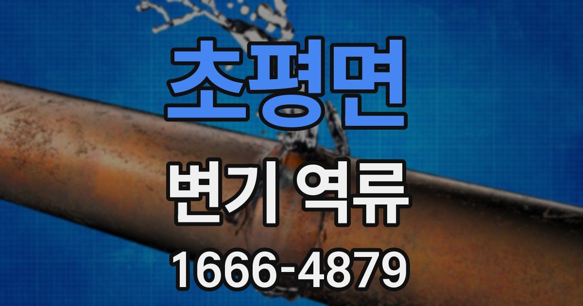 초평면 변기 역류