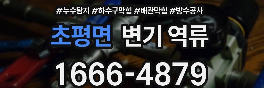 초평면 변기 역류