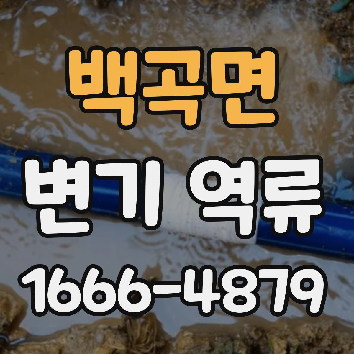 백곡면 변기 역류