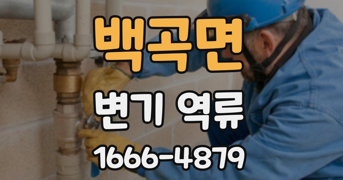 백곡면 변기 역류