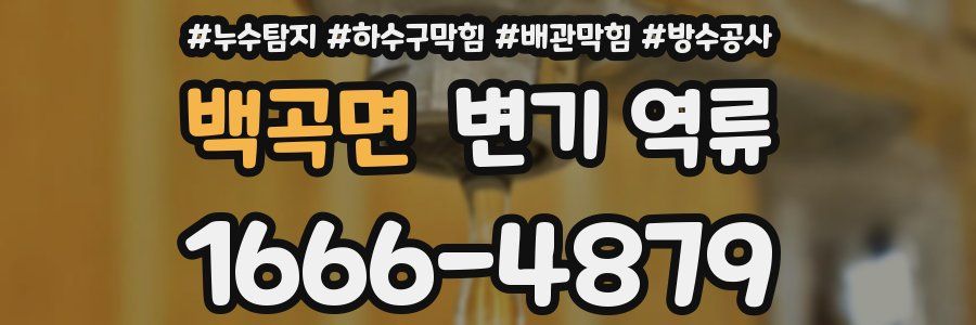 백곡면 변기 역류