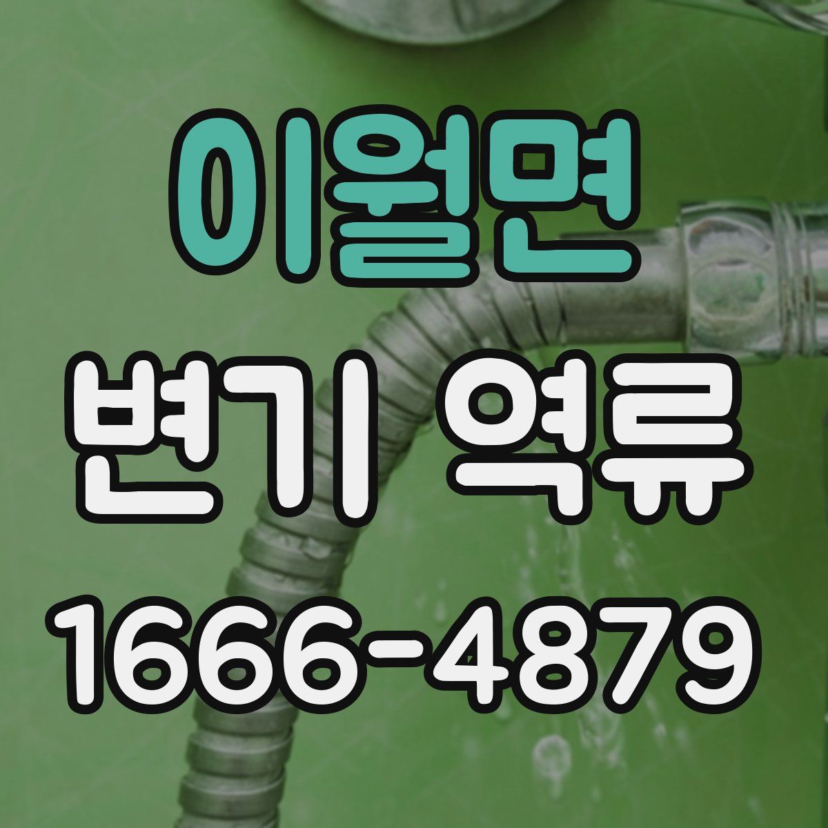 이월면 변기 역류