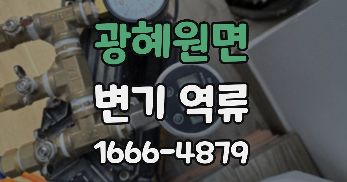 광혜원면 변기 역류