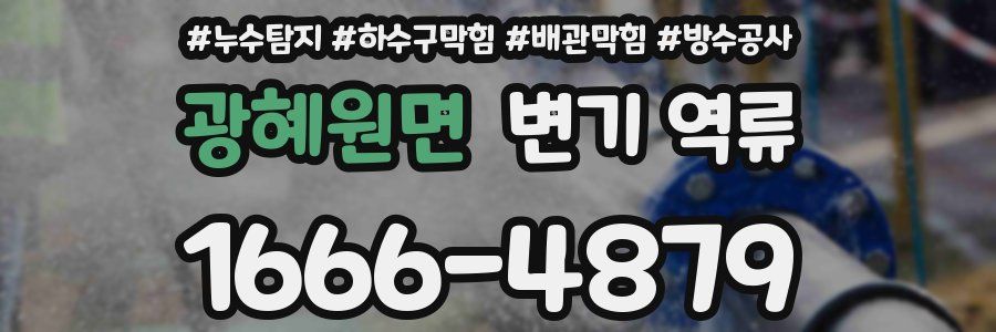 광혜원면 변기 역류