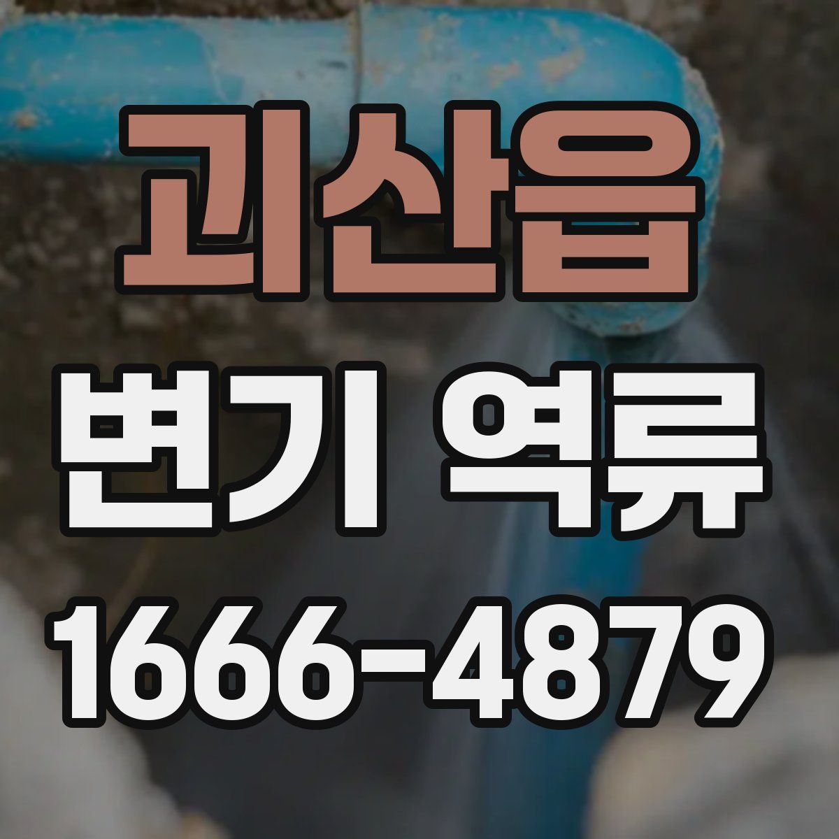 괴산읍 변기 역류