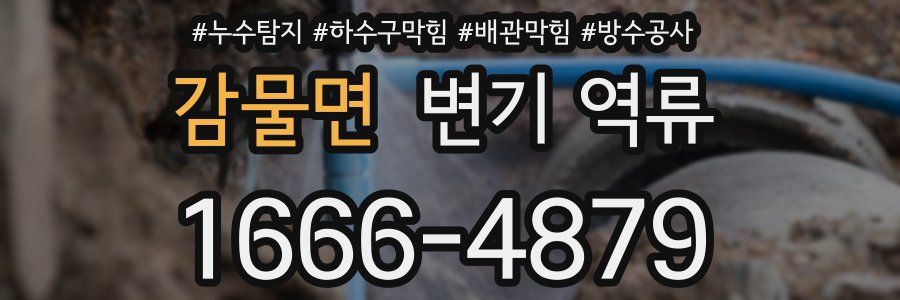 감물면 변기 역류