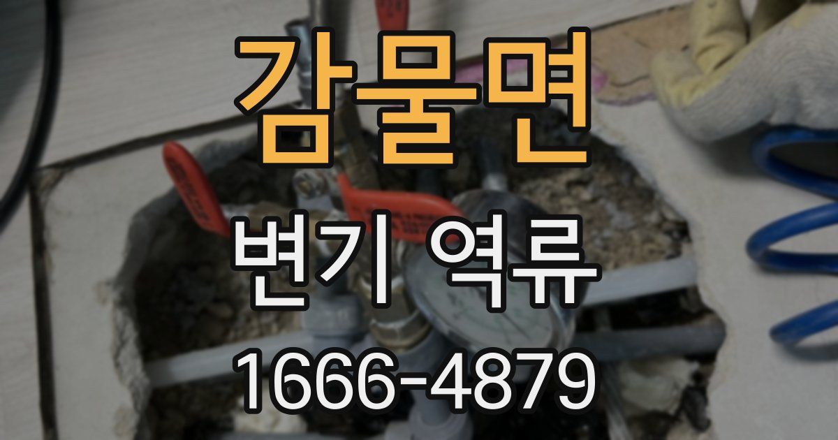 감물면 변기 역류