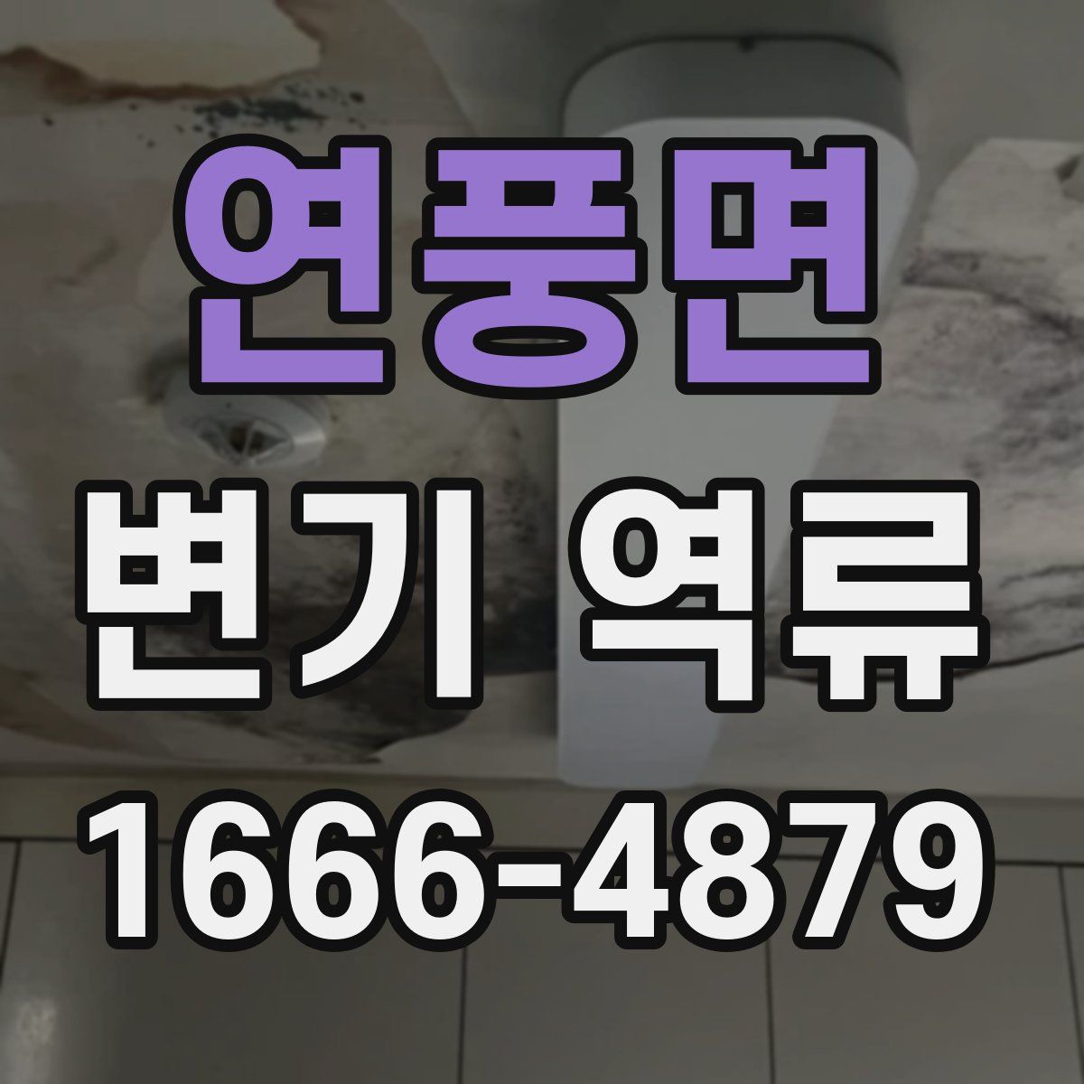 연풍면 변기 역류