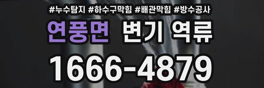 연풍면 변기 역류