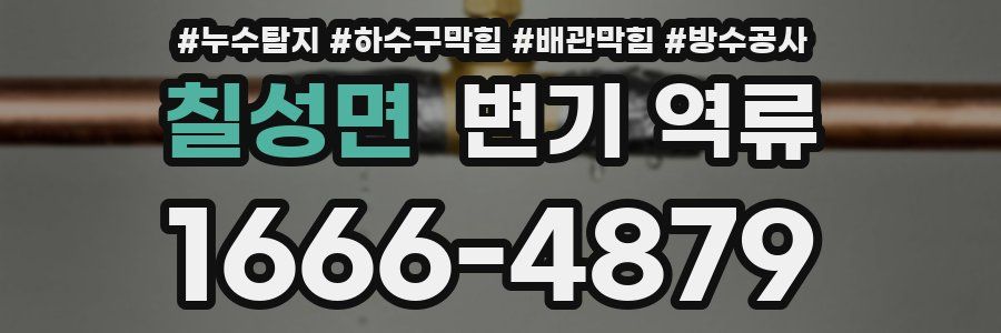 칠성면 변기 역류