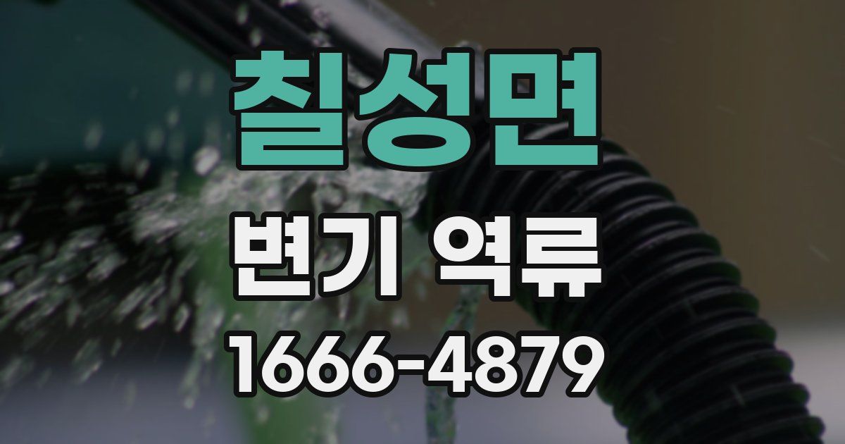 칠성면 변기 역류