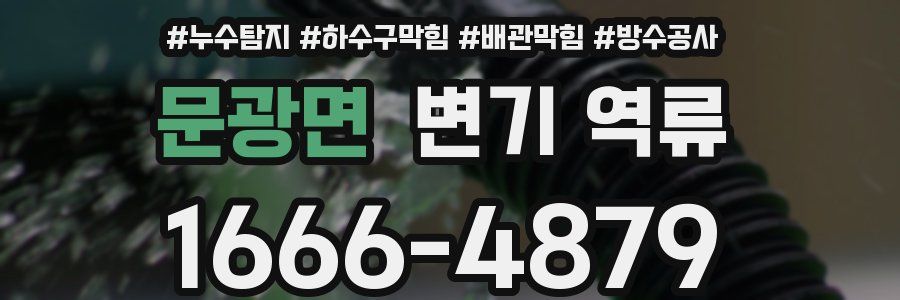 문광면 변기 역류