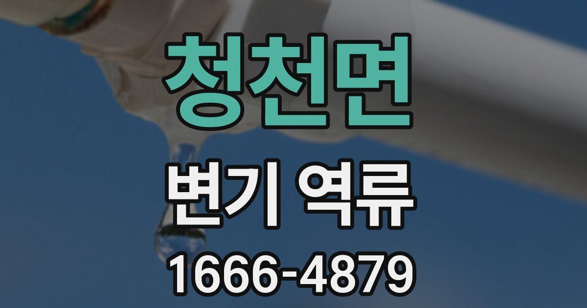 청천면 변기 역류