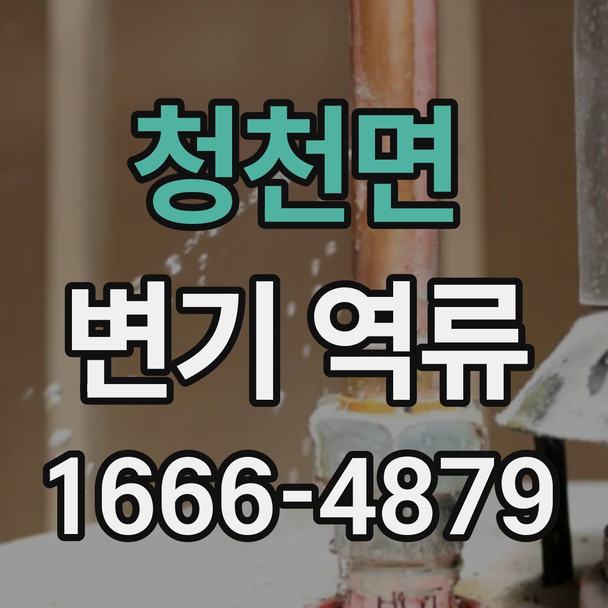 청천면 변기 역류