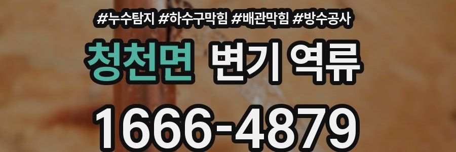 청천면 변기 역류