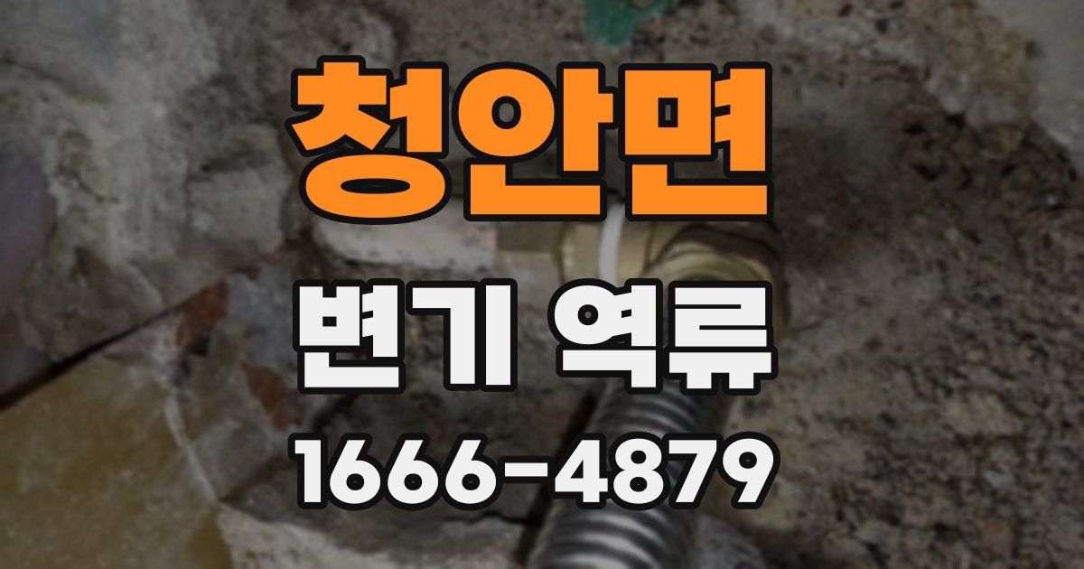 청안면 변기 역류