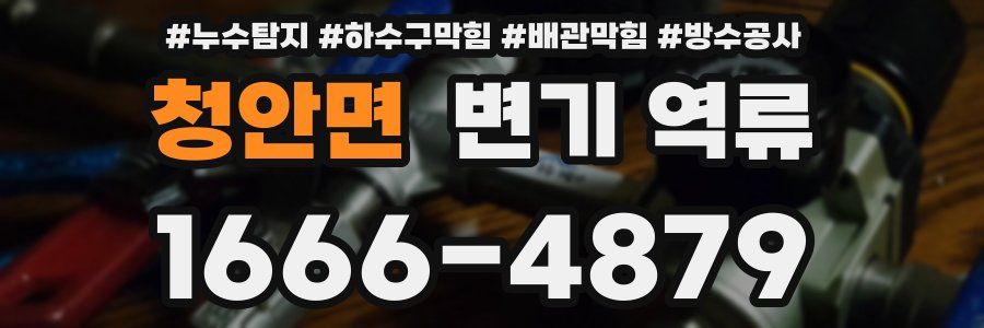 청안면 변기 역류