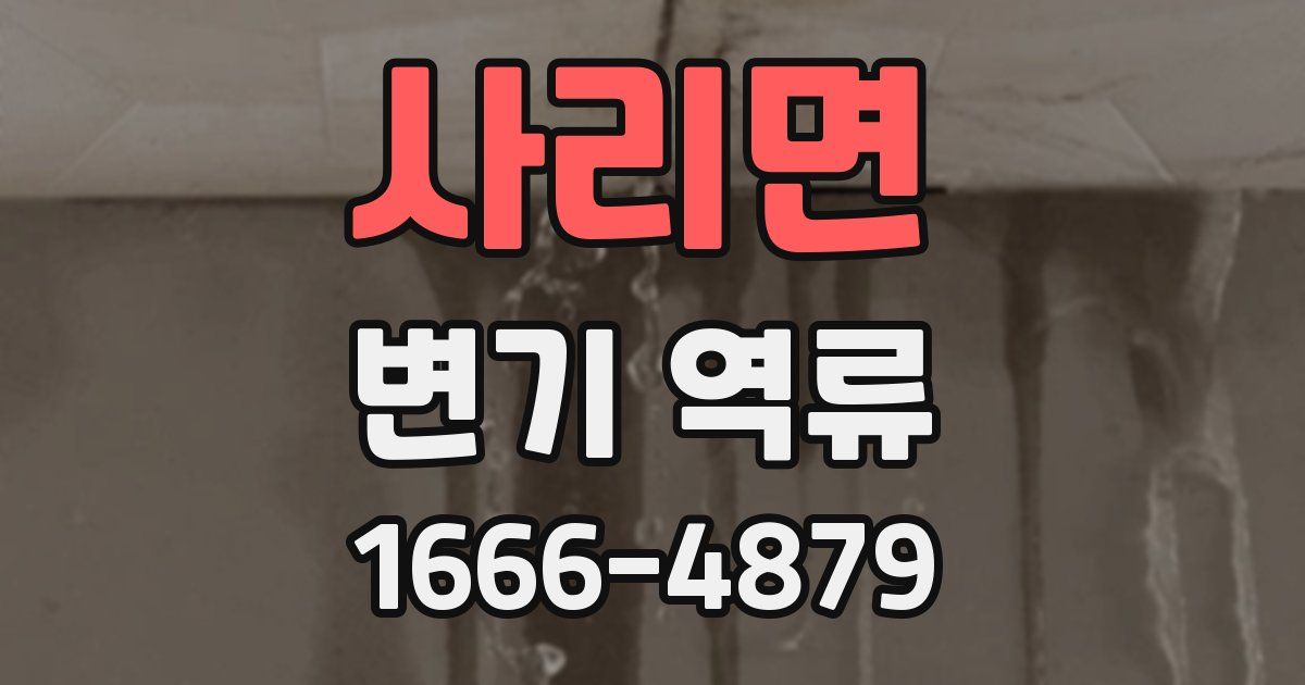 사리면 변기 역류
