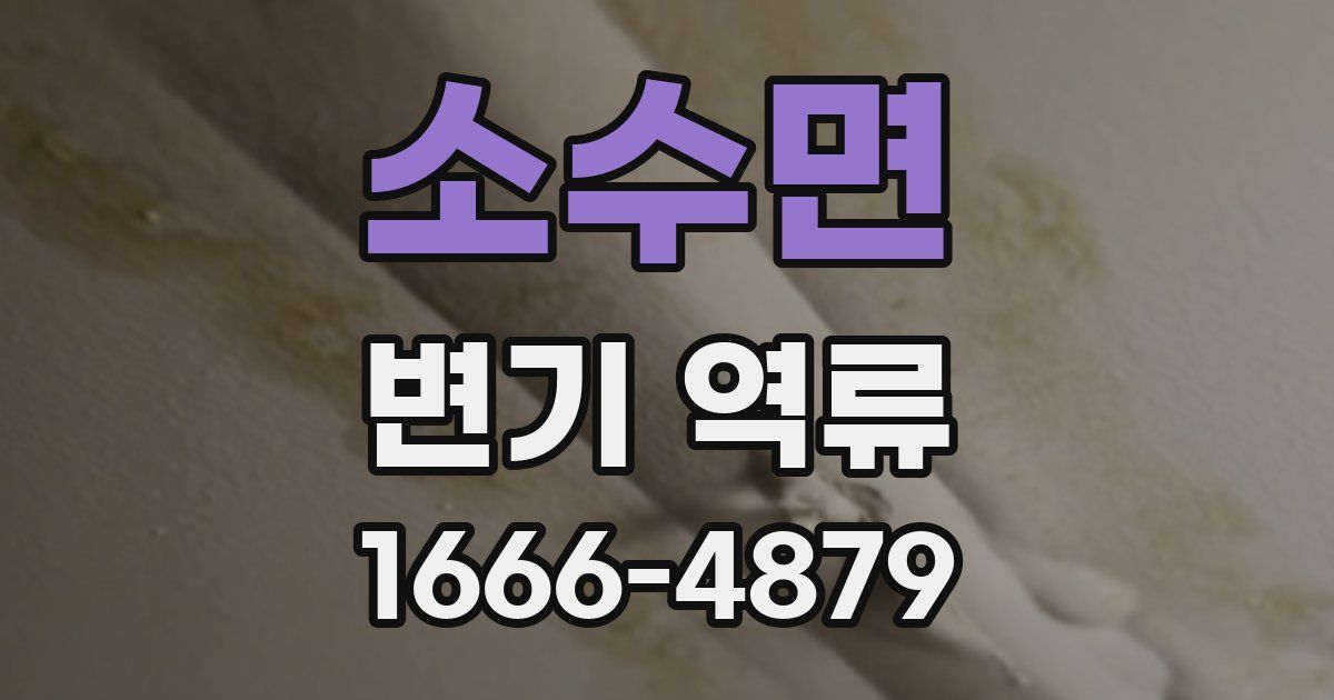 소수면 변기 역류