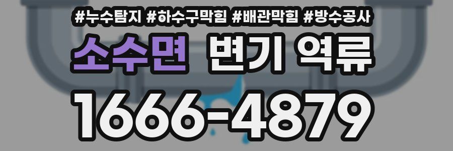 소수면 변기 역류