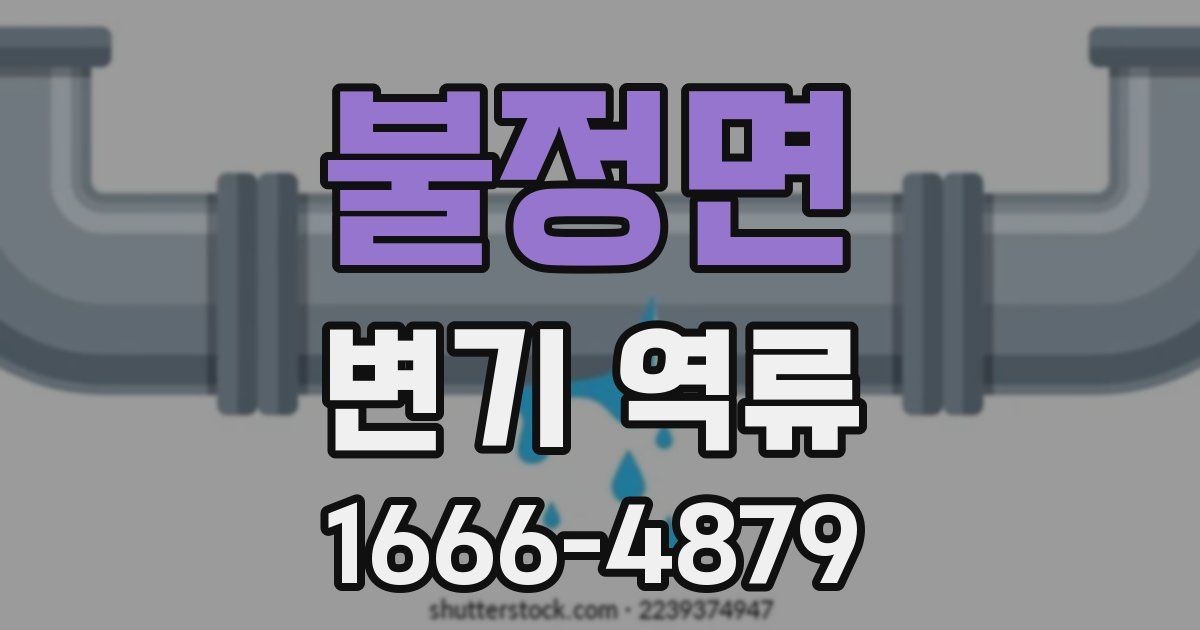 불정면 변기 역류