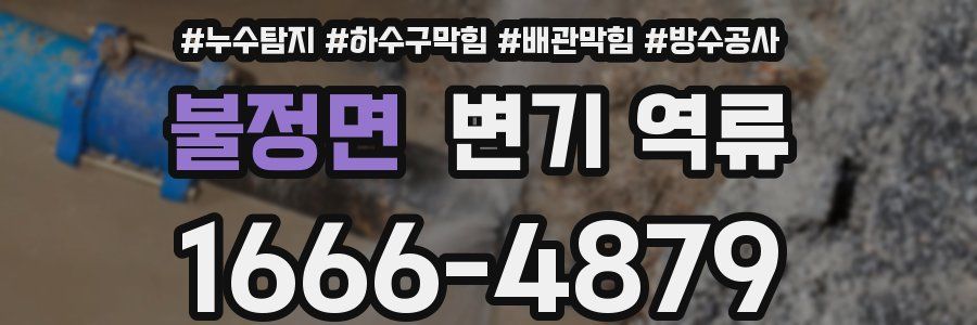 불정면 변기 역류