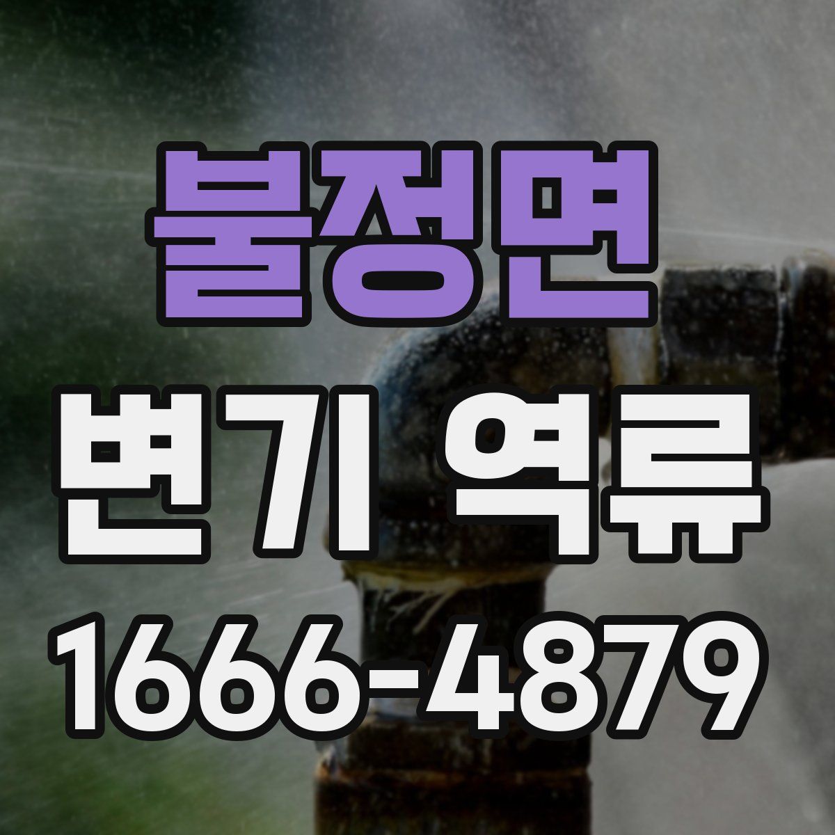 불정면 변기 역류