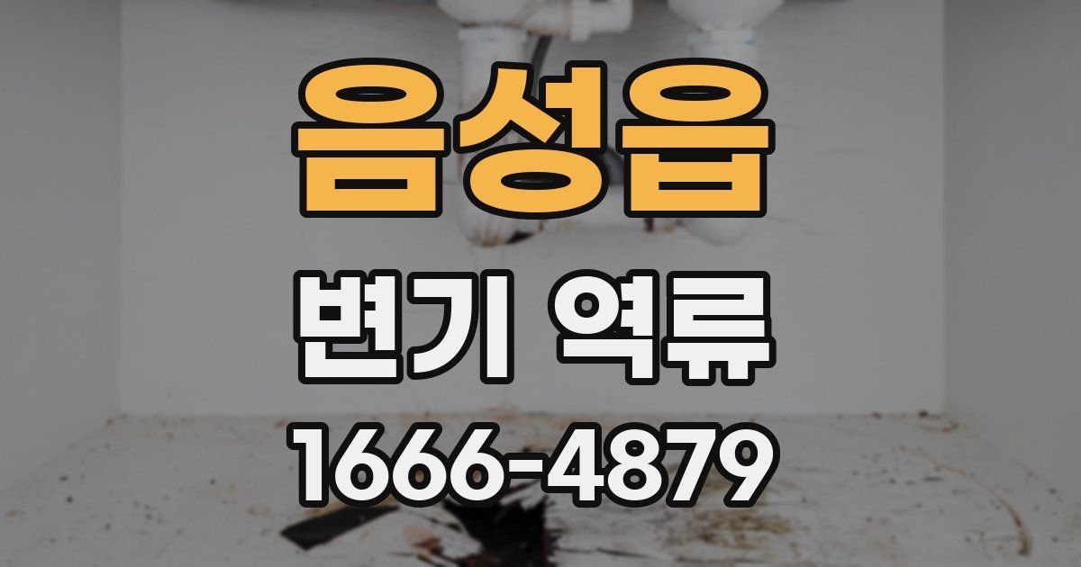 음성읍 변기 역류