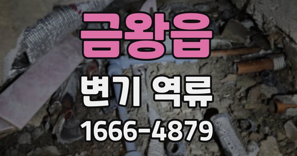 금왕읍 변기 역류