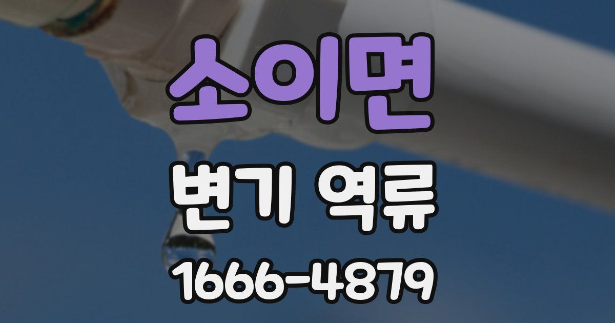 소이면 변기 역류