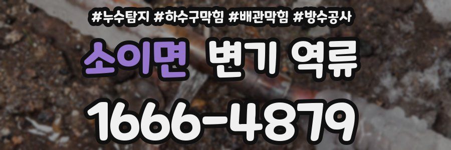 소이면 변기 역류