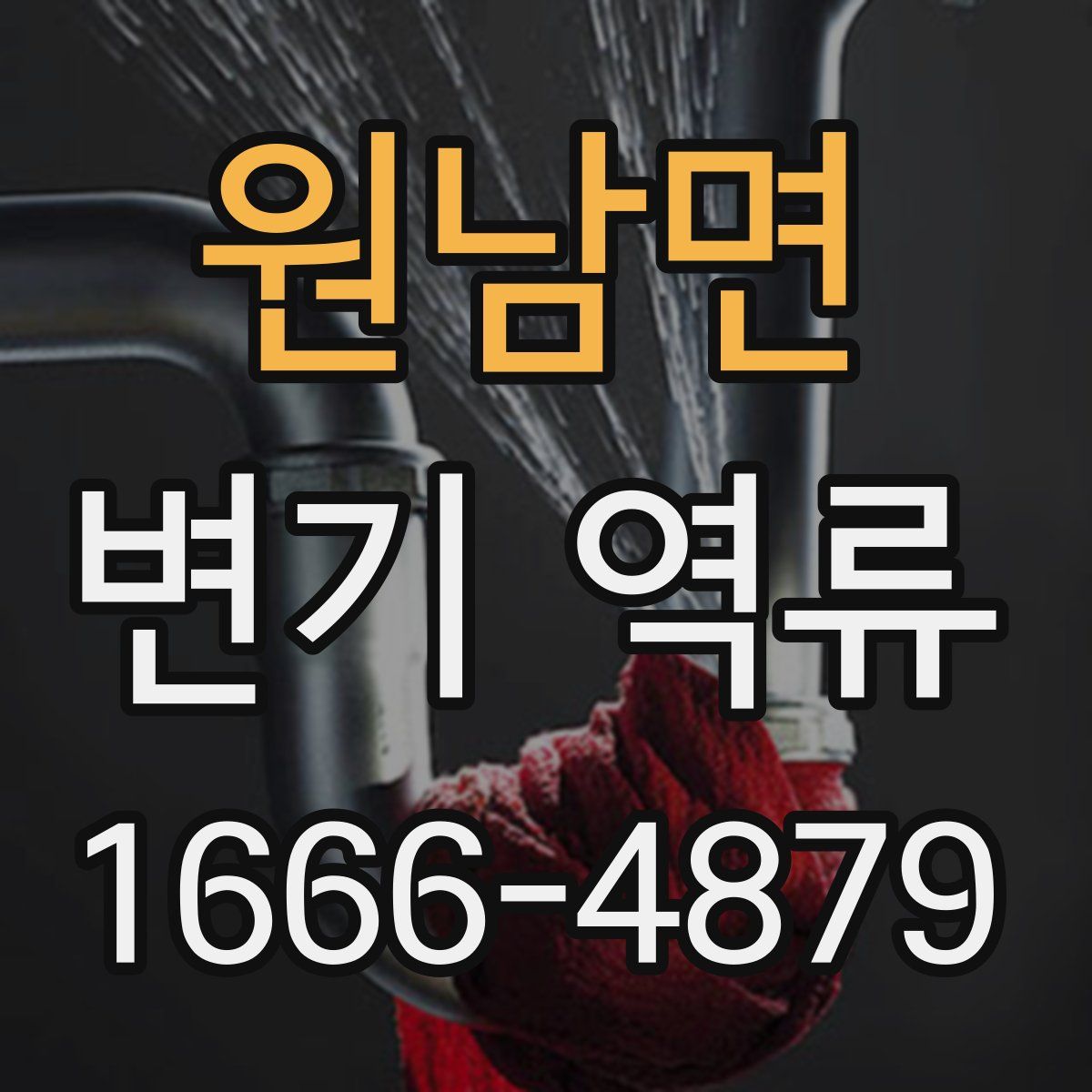 원남면 변기 역류