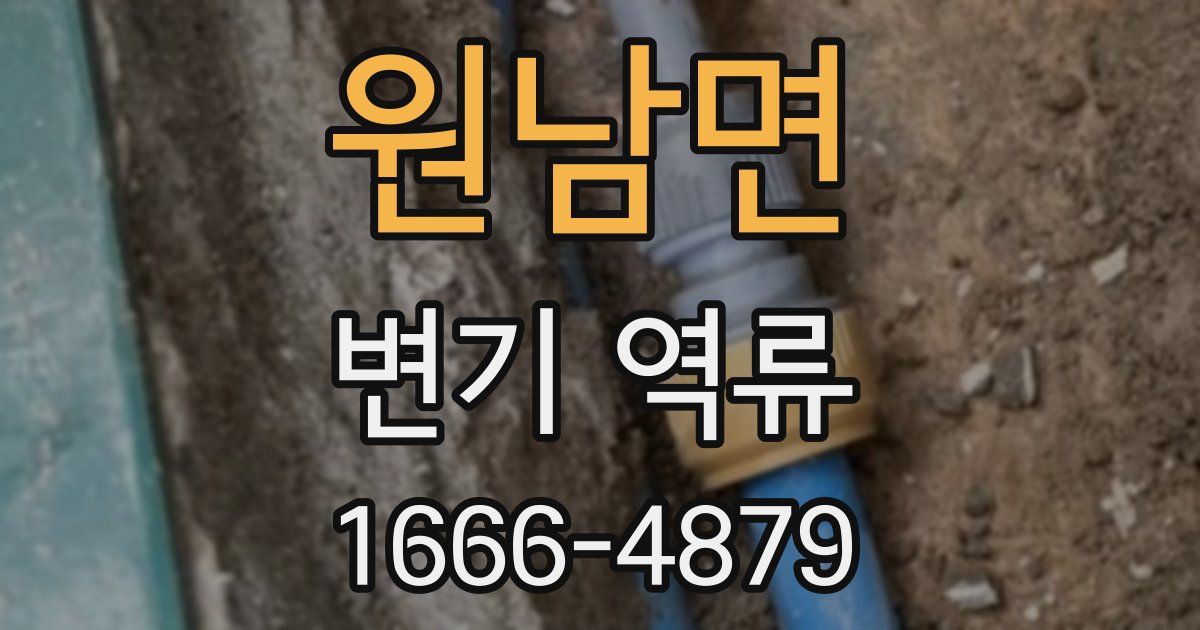 원남면 변기 역류