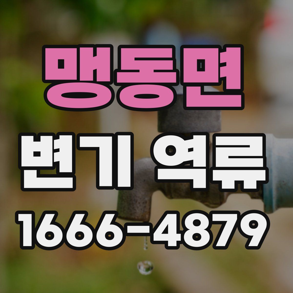 맹동면 변기 역류