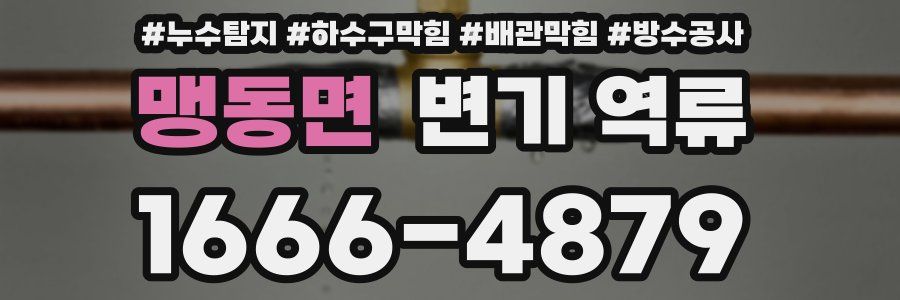 맹동면 변기 역류